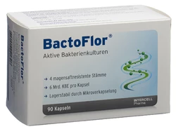 Bactoflor Kapsel