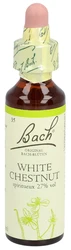 Bach Bachblüten Original White Chestnut Nummer 35