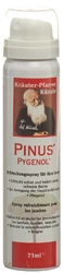 Kräuter-Pfarrer Künzle Pinus Pygenol Erfrischungsspray