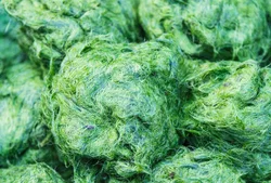 ARKOCAPS Spirulina Kapsel