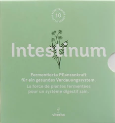 Viterba Intestinum Shot