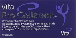 Vita Pro Collagen Kapsel