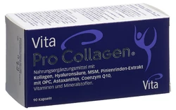 Vita Pro Collagen Kapsel