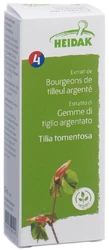 HEIDAK Knospe Silberlinde Tilia tomentosa Glyc Maz