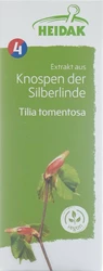 HEIDAK Knospe Silberlinde Tilia tomentosa Glyc Maz