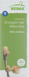 HEIDAK Knospe Weinrebe Vitis vinifera Glyc Maz