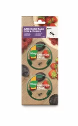 Ameisen Box