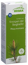 HEIDAK Knospe Bergkiefer Pinus montana Glyc Maz