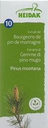HEIDAK Knospe Bergkiefer Pinus montana Glyc Maz
