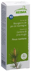 HEIDAK Knospe Bergkiefer Pinus montana Glyc Maz
