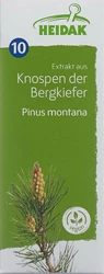 HEIDAK Knospe Bergkiefer Pinus montana Glyc Maz