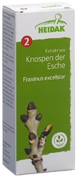 HEIDAK Knospe Esche Fraxinus excelsior Glyc Maz