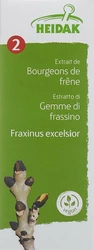 HEIDAK Knospe Esche Fraxinus excelsior Glyc Maz