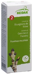 HEIDAK Knospe Esche Fraxinus excelsior Glyc Maz