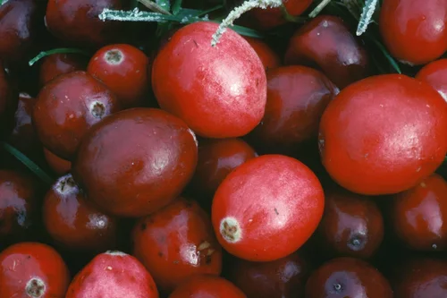 Image link