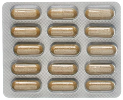 epimethylosan Kapsel