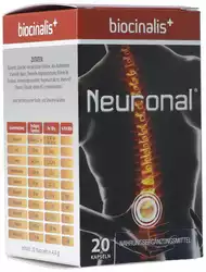Neuronal Kapsel