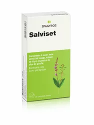 Salviset Pastillen