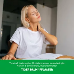 TIGER BALM Medizinal Pfl 10x14cm