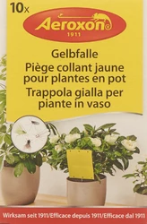 Aeroxon Gelbfalle für Topfpflanzen