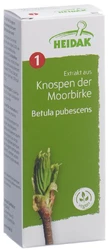 HEIDAK Knospe Moorbirke Betula pubescens Glyc Maz