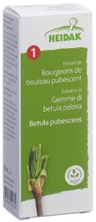 HEIDAK Knospe Moorbirke Betula pubescens Glyc Maz