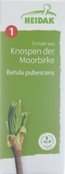 HEIDAK Knospe Moorbirke Betula pubescens Glyc Maz