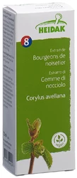 HEIDAK Knospe Hasel Corylus avellana Glyc Maz