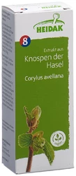 HEIDAK Knospe Hasel Corylus avellana Glyc Maz
