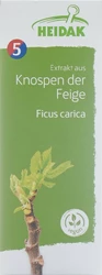 HEIDAK Knospe Feige Ficus carica Glyc Maz
