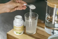kingnature Probiotic Vida Pulver
