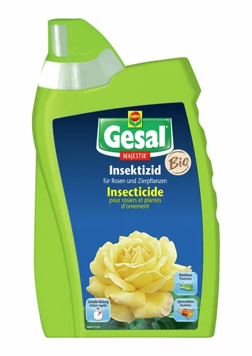 Image link