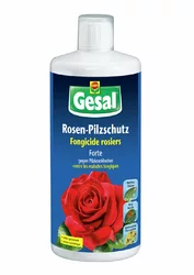Gesal Rosen-Pilzschutz Forte
