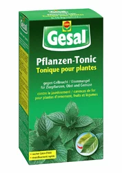 Pflanzen-Tonic