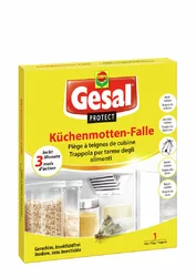 Gesal PROTECT Küchenmotten-Falle