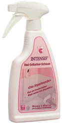 Intensif Bad Entkalker Schaum flüssig