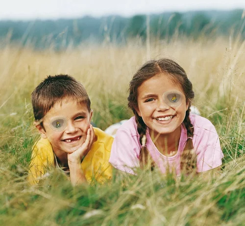 Image link