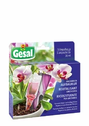 Gesal Orchideen-Aufbaukur