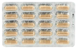 Dr. Dünner PhytoWorld Ashwagandha Energie + Nerven Kapsel