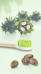 Trisa Natural Clean Holzzahnbürste soft