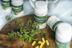 kingnature Oregano Vida Kapsel 614 mg