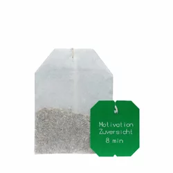 Salus Bachblüten Tee Motivation & Zuversicht Bio