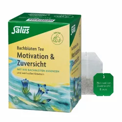Salus Bachblüten Tee Motivation & Zuversicht Bio