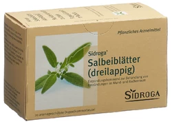 Sidroga feuilles de sauge trilobée