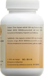 Holistic Med Curcuma-Extrakt 500 mg Vegikaps