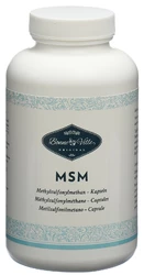 MSM Kapsel 1000 mg