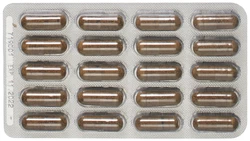 PADMA HEPATEN Kapsel