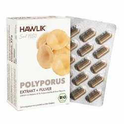 Hawlik Polyporus Extrakt + Pulver Kapsel