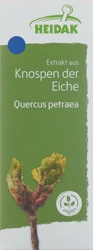 HEIDAK Knospe Eiche Quercus petraea Glyc Maz