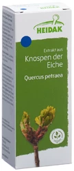 HEIDAK Knospe Eiche Quercus petraea Glyc Maz